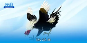 Đá gà 88