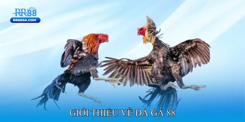 Đá Gà 88 - Nền Tảng Cá Cược Uy Tín Cho Người Chơi Việt Giới Thiệu Về Đá Gà 88