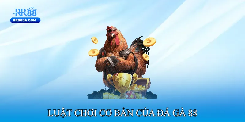 Đá Gà 88 - Nền Tảng Cá Cược Uy Tín Cho Người Chơi Việt Luật Chơi Cơ Bản Của Đá Gà 88